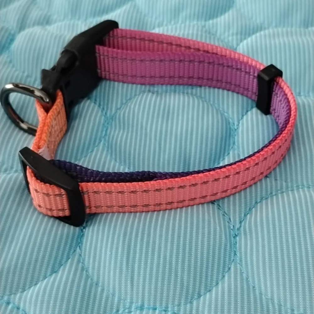 Colorful Pink and Purple Dog Collar
